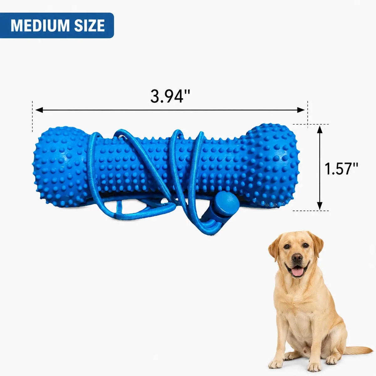 Adjustable Neck Strap Dog Tooth Cleaning Chew Stick, Tooth Cleaning Bite Stick, Made of Bite-Resistant Rubber, Specially Designed Oral Care Tools for Small, Medium and Large Dogs, Dog Mouth Opener for Cleaning Teeth, Pet Oral Care Tooth Chew Toy