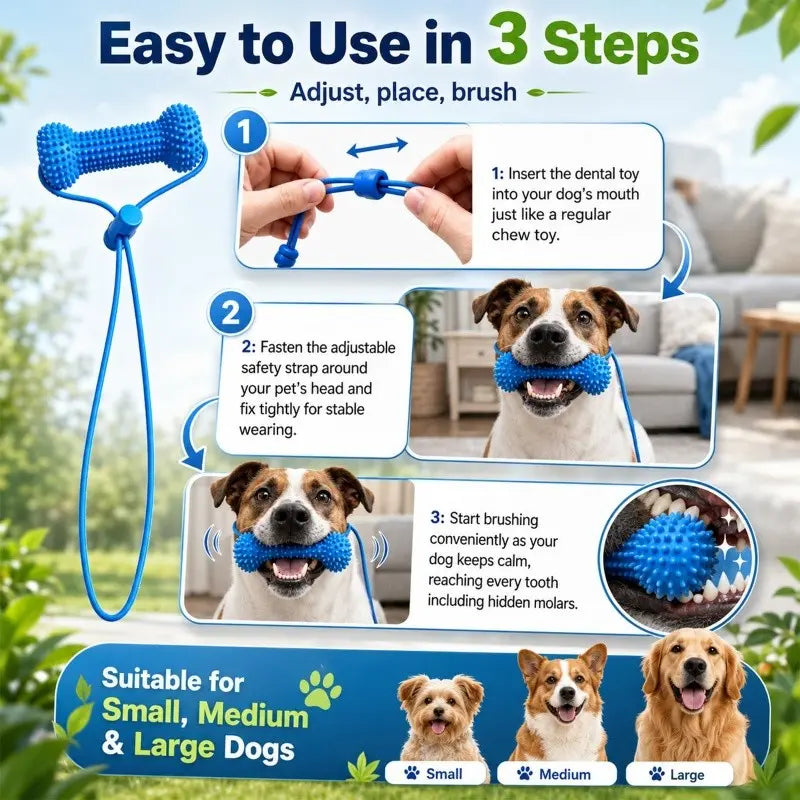 Adjustable Neck Strap Dog Tooth Cleaning Chew Stick, Tooth Cleaning Bite Stick, Made of Bite-Resistant Rubber, Specially Designed Oral Care Tools for Small, Medium and Large Dogs, Dog Mouth Opener for Cleaning Teeth, Pet Oral Care Tooth Chew Toy