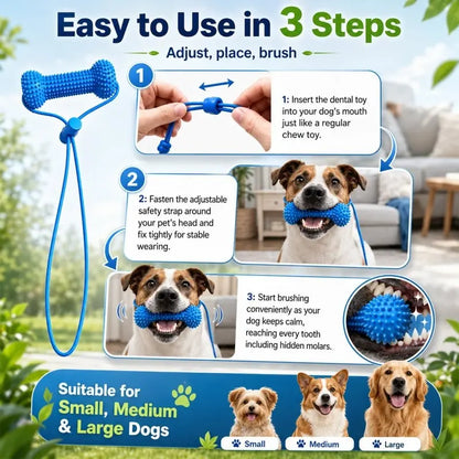 Adjustable Neck Strap Dog Tooth Cleaning Chew Stick, Tooth Cleaning Bite Stick, Made of Bite-Resistant Rubber, Specially Designed Oral Care Tools for Small, Medium and Large Dogs, Dog Mouth Opener for Cleaning Teeth, Pet Oral Care Tooth Chew Toy